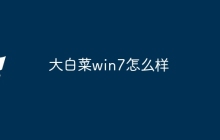 大白菜win7怎么样