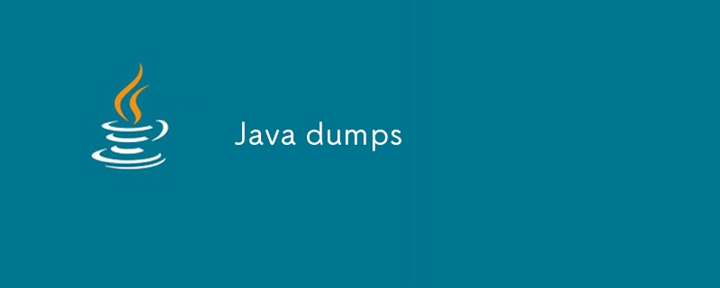 Java dumps