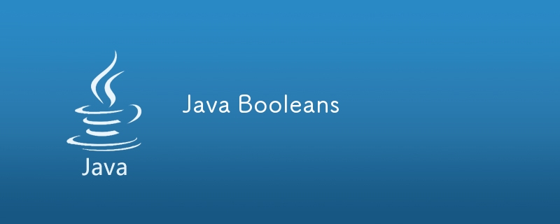 Java Booleans