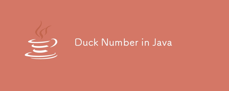 Duck Number in Java