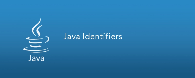 Java Identifiers