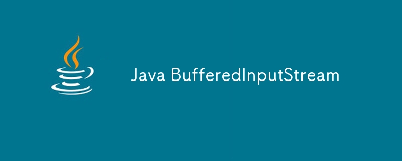 Java BufferedInputStream