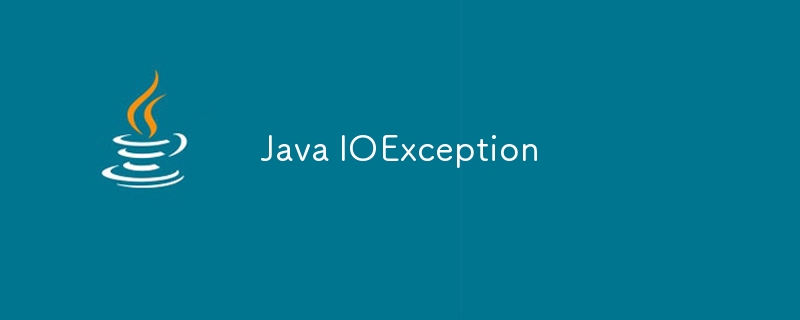 Java IOException-javaTutorial-php.cn