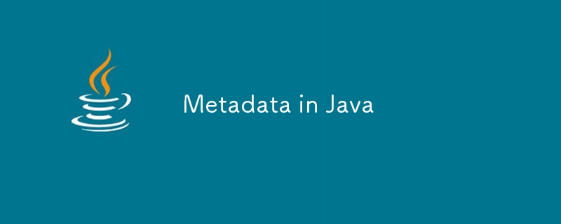 Métadonnées en Java