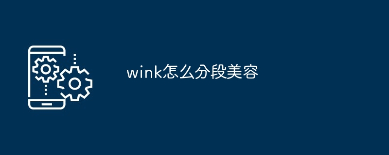 wink怎么分段美容