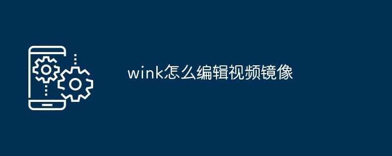 wink怎么编辑视频镜像