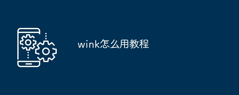 wink怎么用教程