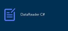 DataReader C#