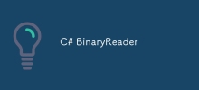 C# BinaryReader