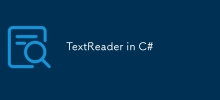 TextReader in C#