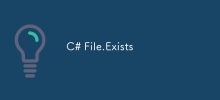 C# File.Exists