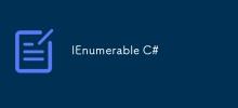 IE可枚舉 C#