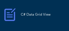 C# 資料網格視圖