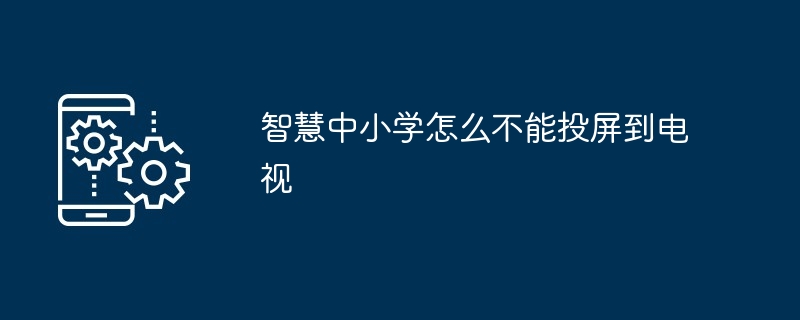 智慧中小学怎么不能投屏到电视