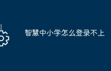 智慧中小学怎么登录不上