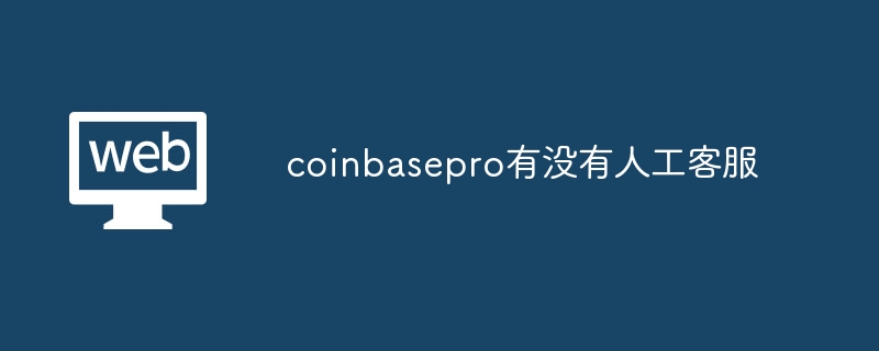 Does coinbasepro have manual customer service?