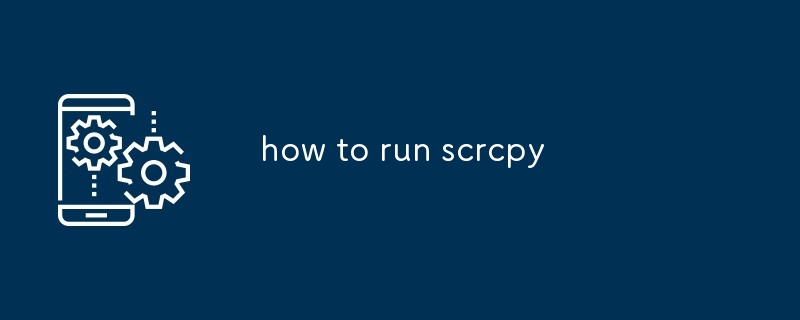 how to run scrcpy