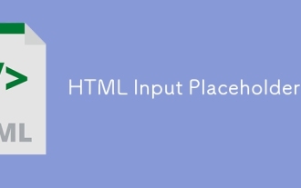 HTML Input Placeholder