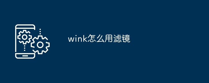 wink怎么用滤镜