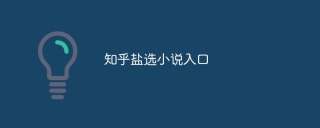 知乎盐选小说入口