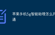 苹果手机5g智能助理怎么开通