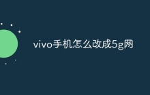 vivo手机怎么改成5g网