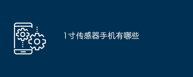1寸传感器手机有哪些