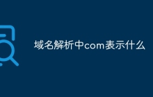 域名解析中com表示什么