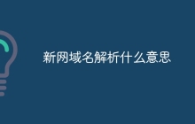 新网域名解析什么意思