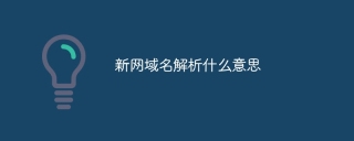 新网域名解析什么意思