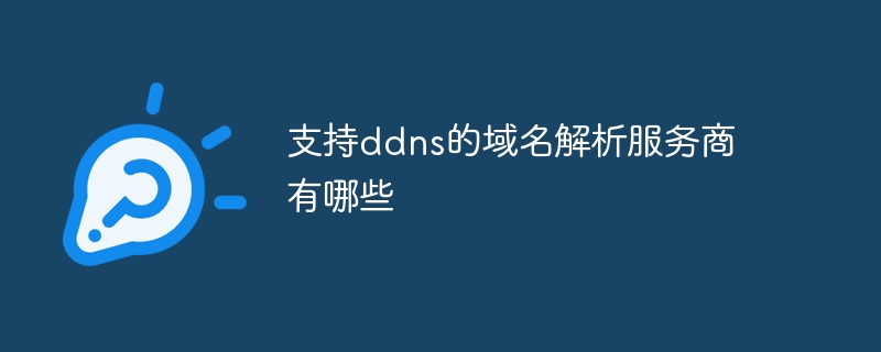 支持ddns的域名解析服务商有哪些