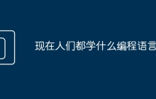 现在人们都学什么编程语言