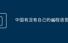 中国有没有自己的编程语言