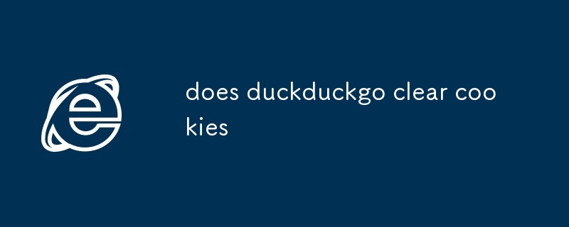 duckduckgo는 쿠키를 지우나요?