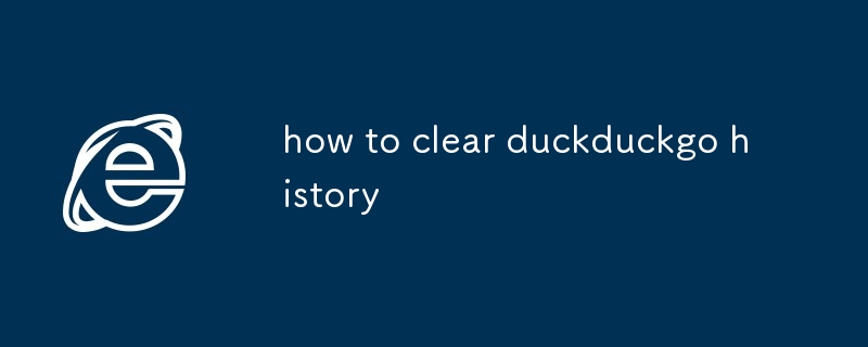 comment effacer l'historique de duckduckgo