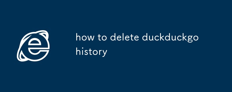 comment supprimer l'historique de duckduckgo