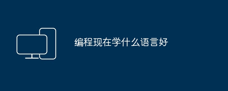 编程现在学什么语言好