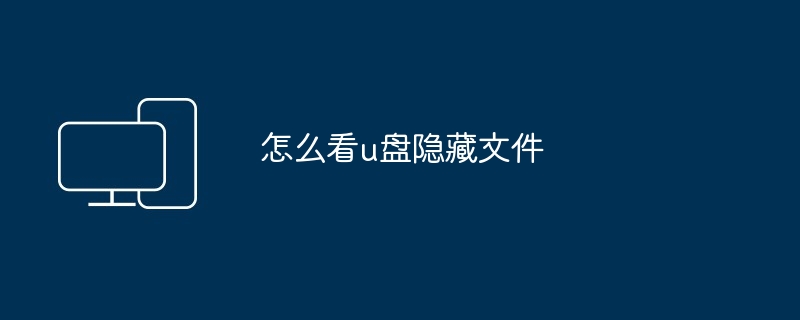 怎么看u盘隐藏文件