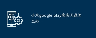 小米google play商店闪退怎么办