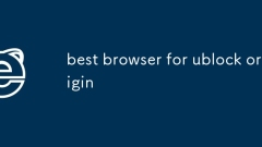 meilleur navigateur pour l'origine ublock
