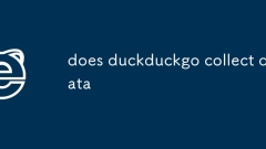 est-ce que duckduckgo collecte des données