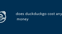 est-ce que duckduckgo co?te de l'argent