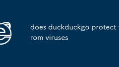duckduckgo protège-t-il des virus