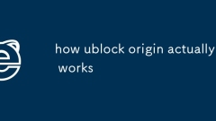comment fonctionne réellement l'origine ublock