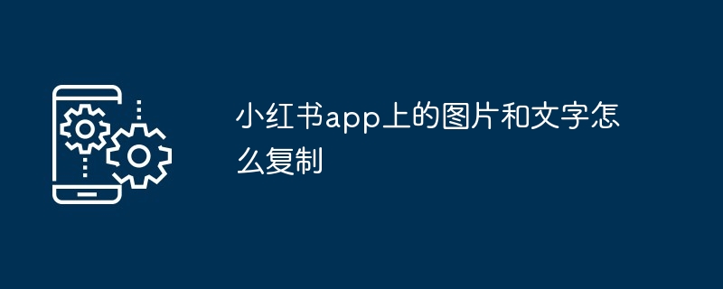 小红书app上的图片和文字怎么复制