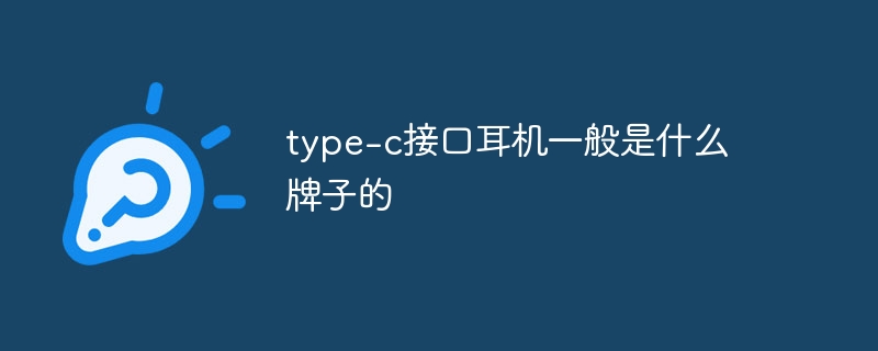 type-c接口耳机一般是什么牌子的