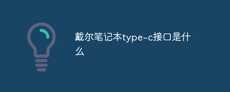 戴尔笔记本type-c接口是什么
