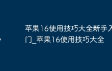 苹果16使用技巧大全新手入门_苹果16使用技巧大全