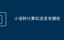 小语种计算机语言有哪些