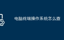 电脑终端操作系统怎么查